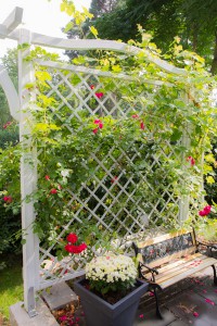 Mit Pergolas lassen sich leicht ein schöner Sichtschutz erstellen oder eine Terrasse einrahmen.